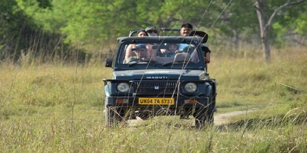 Corbett Jeep Safari
